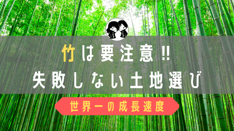 竹藪の土地は購入注意 竹の成長速度は世界一です ド慎重夫婦の家づくり